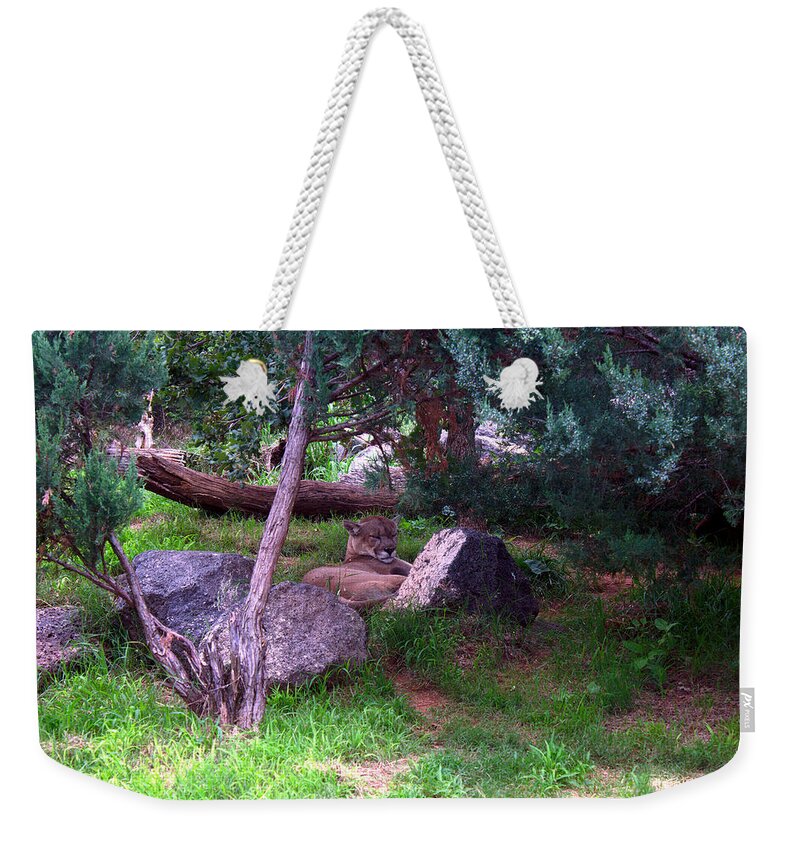James Smullins Weekender Tote Bag featuring the photograph American Cougar by James Smullins
