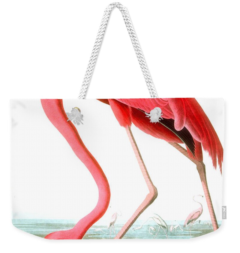 Bird Weekender Tote Bag featuring the painting American Flamingo by John James Audubon