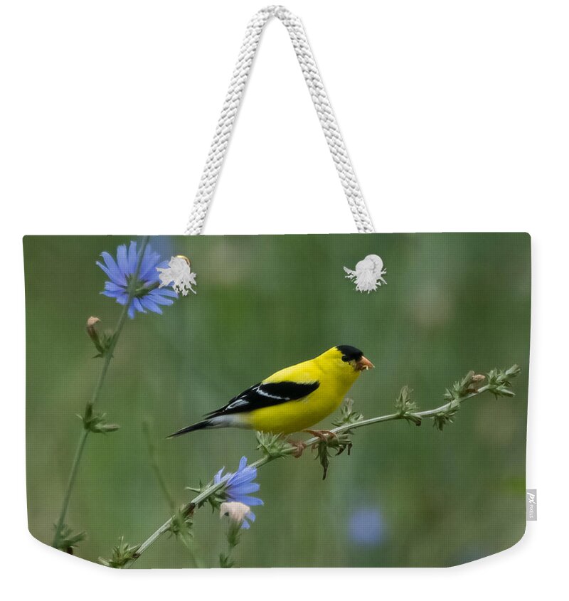 American Goldfinch Weekender Tote Bag featuring the photograph American Goldfinch   by Holden The Moment