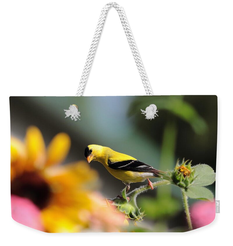 American Goldfinch Weekender Tote Bag featuring the photograph American Goldfinch by John Moyer