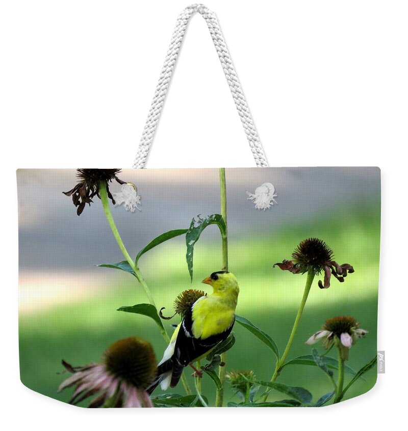 Bird Weekender Tote Bag featuring the photograph American Goldfinch by Keith Stokes