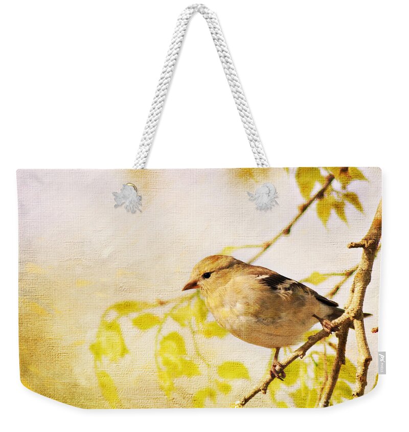 Goldfinch Weekender Tote Bag featuring the photograph American Goldfinch by Pam Holdsworth
