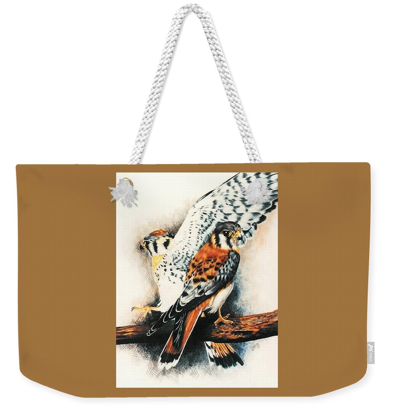 Raptor Weekender Tote Bag featuring the drawing American Kestrel by Barbara Keith