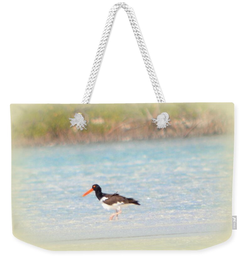 Oystercatcher Weekender Tote Bag featuring the photograph American Oystercatcher by Kimberly Woyak