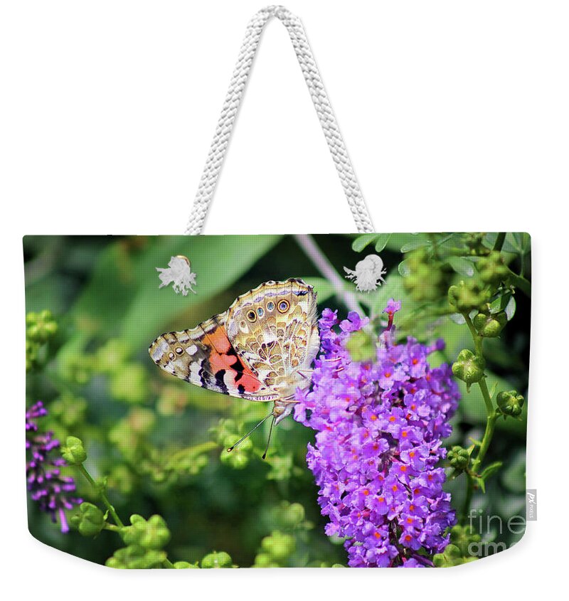 Painted Lady Butterfly Weekender Tote Bag featuring the photograph Painted Lady Butterfly in July by Karen Adams