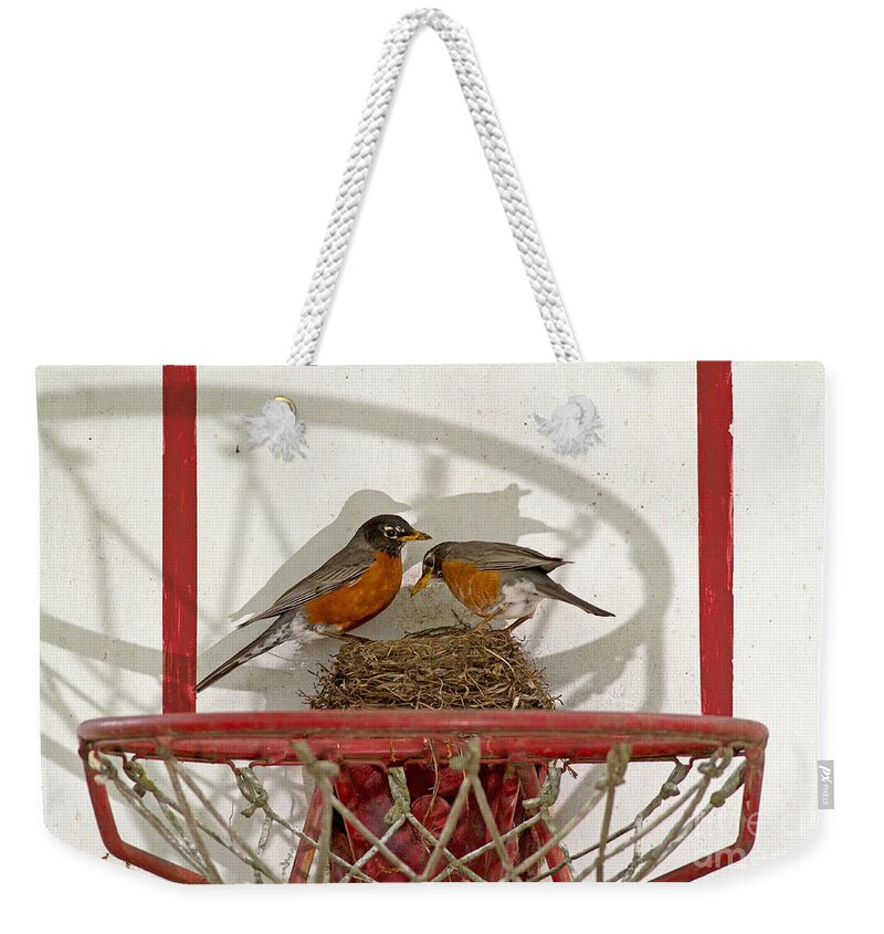 Robin Weekender Tote Bag featuring the photograph American Robin Pair At Nest by Kenneth M. Highfill