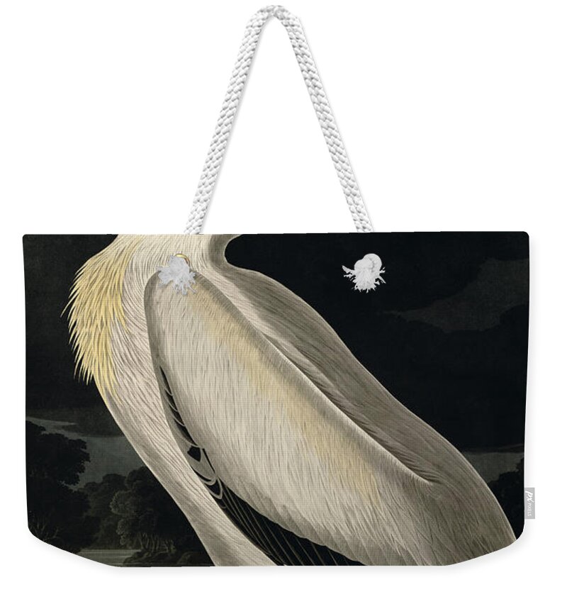 American White Pelican Weekender Tote Bag featuring the painting American White Pelican by John James Audubon