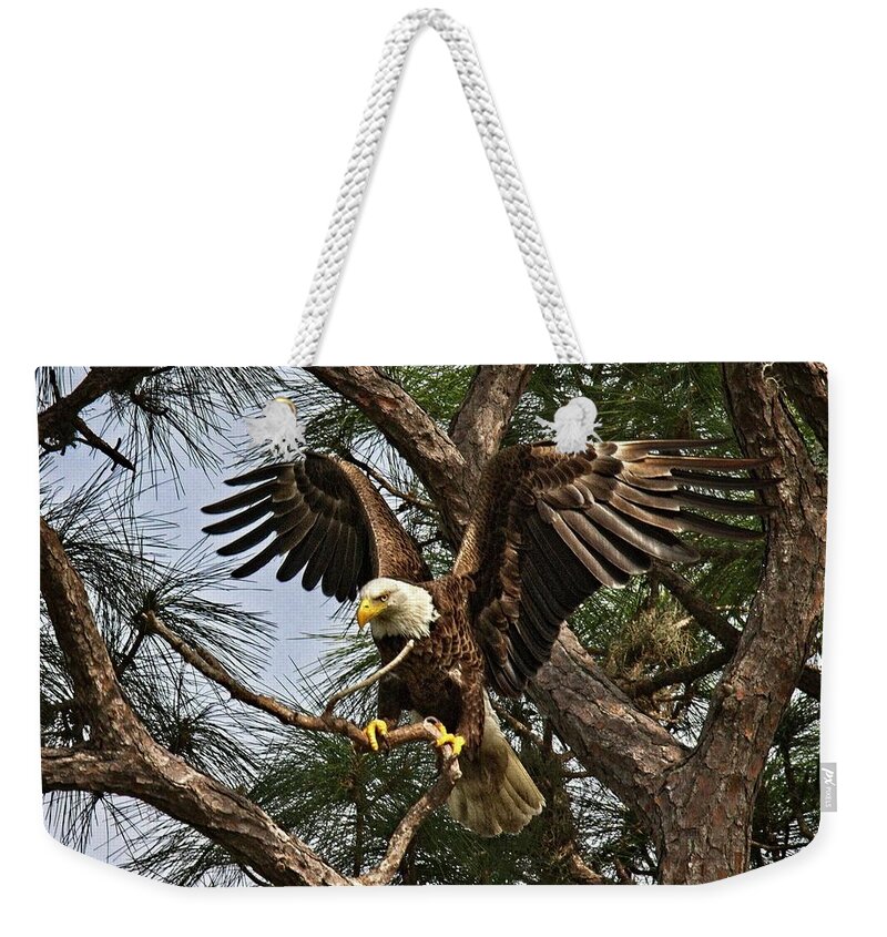 Adult Weekender Tote Bag featuring the photograph America's Bird by Ronald Lutz