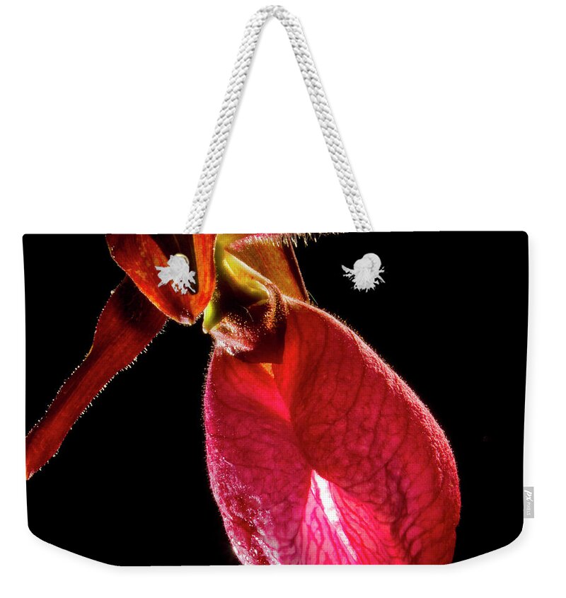 Photography Weekender Tote Bag featuring the photograph An Alien Grows Among Us by Frederic A Reinecke