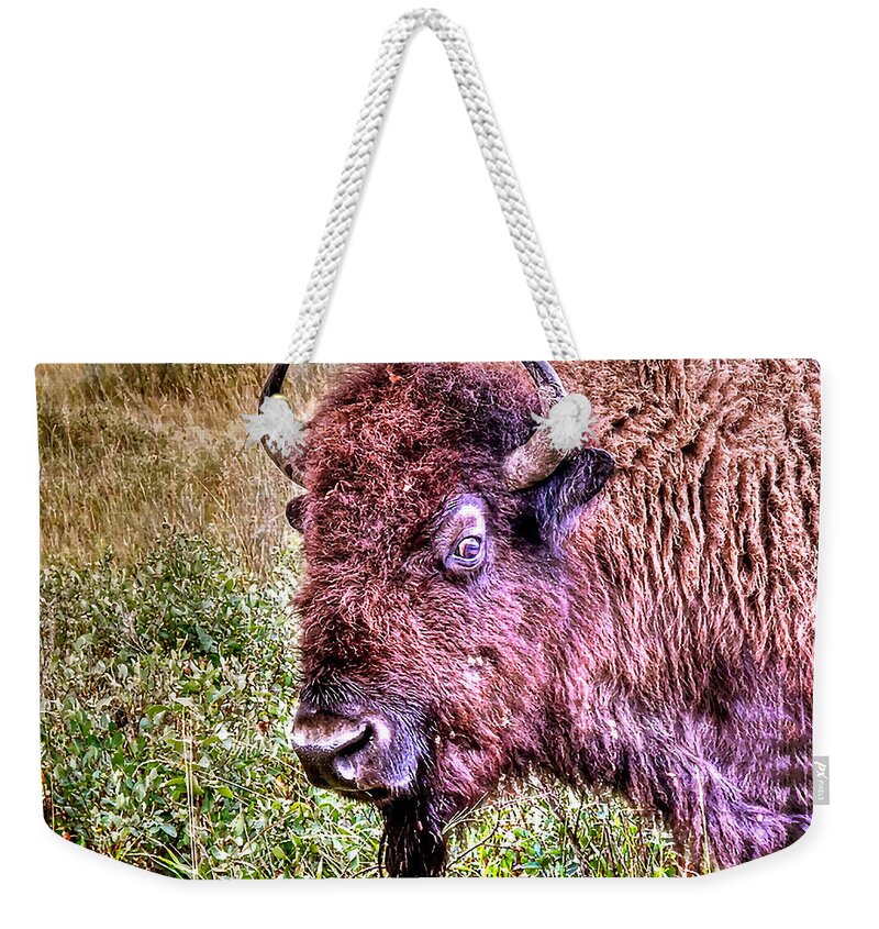 Theodore Roosevelt National Park Weekender Tote Bag featuring the photograph An Astonished Bison by Don Mercer