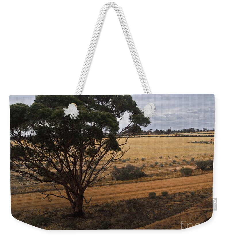 Digital Color Photo Weekender Tote Bag featuring the photograph An Australian Tree by Tim Richards