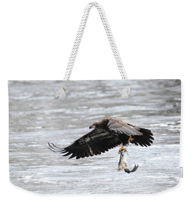 Bald Eagle Weekender Tote Bag featuring the photograph An Eagles Catch 10 by Brook Burling