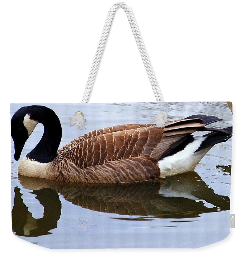 Bashful Weekender Tote Bag featuring the photograph An Elegant Pose by Frozen in Time Fine Art Photography