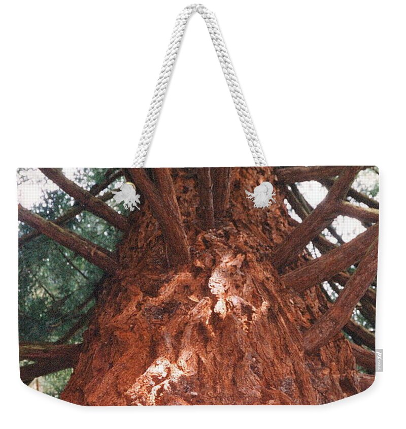 California Weekender Tote Bag featuring the photograph Ancient NoCal Resident Photograph by Kimberly Walker