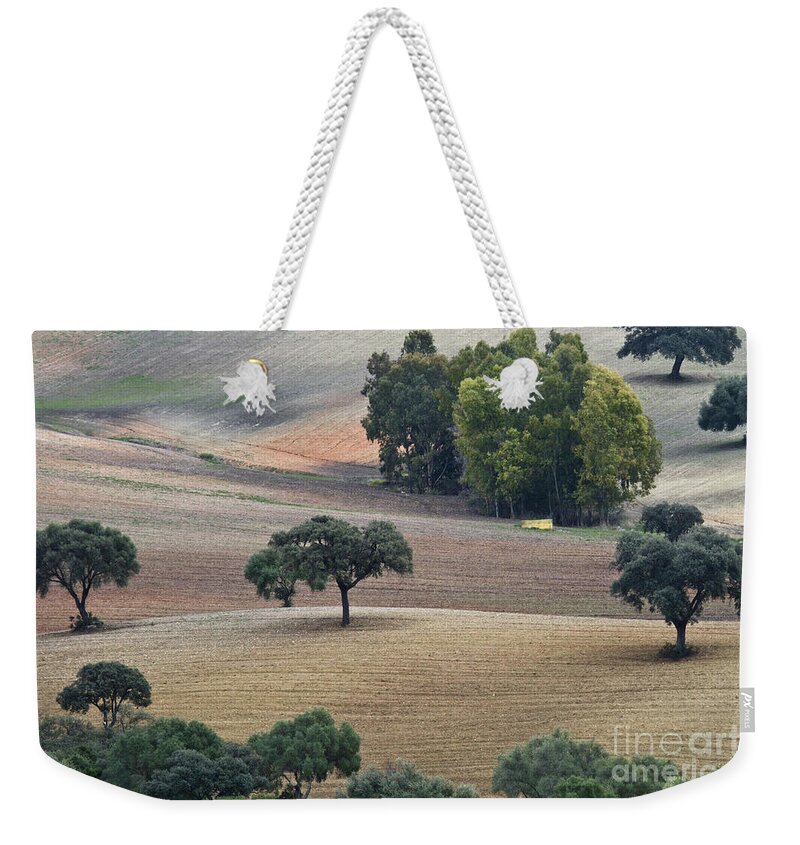 Landscape Weekender Tote Bag featuring the photograph Andalusian Meadows 1 by Heiko Koehrer-Wagner