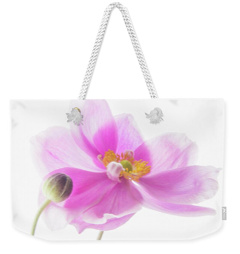 Anemone Weekender Tote Bag featuring the photograph Anemone Babies by Diane Fifield