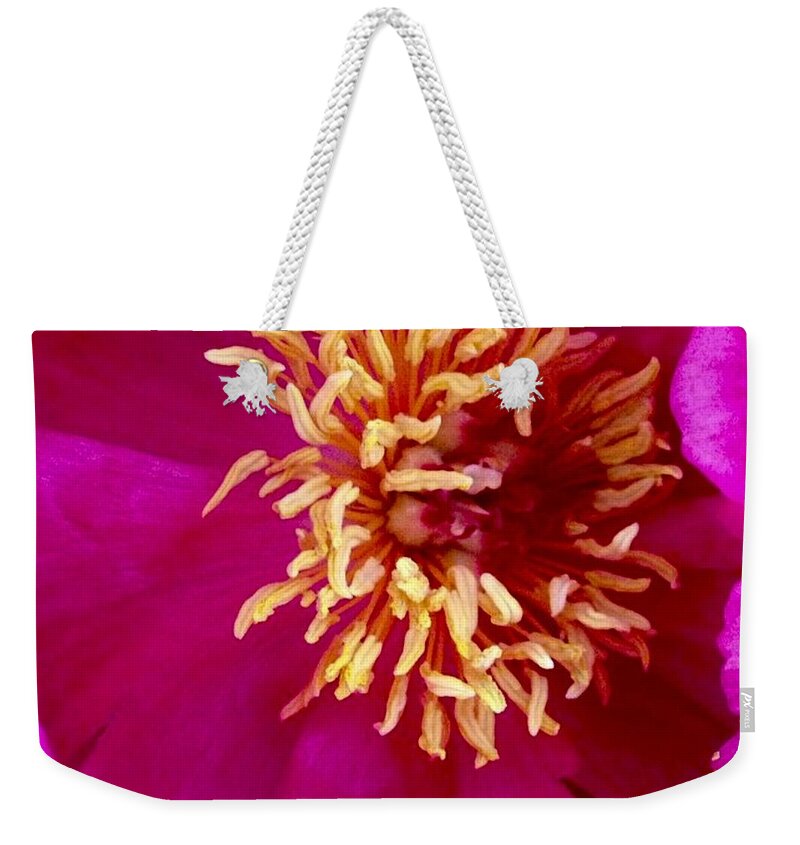 Beauty Weekender Tote Bag featuring the photograph Anemone by Denise Railey