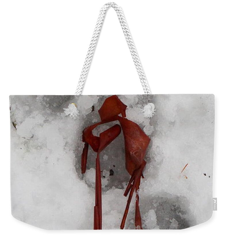 Angel Weekender Tote Bag featuring the photograph Angel at attention by Marie Neder