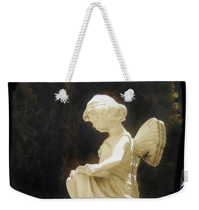 Angel By Poolside Collage Arizona City Arizona 2005 Weekender Tote Bag featuring the photograph Angel by poolside collage Arizona City Arizona 2005-2011 by David Lee Guss