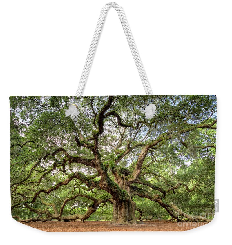 Angel Oak Tree Weekender Tote Bag featuring the photograph Angel Oak Tree of Life by Dustin K Ryan