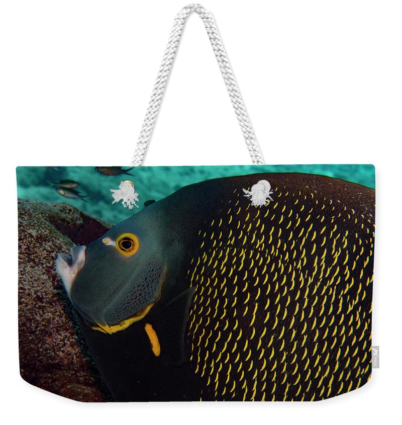 Jean Noren Weekender Tote Bag featuring the photograph Angel Profile by Jean Noren