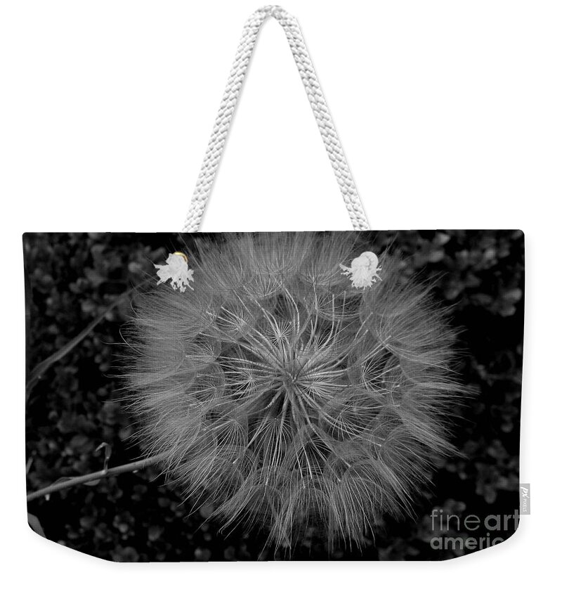 Angel Weekender Tote Bag featuring the photograph Angel Wish by Marie Neder