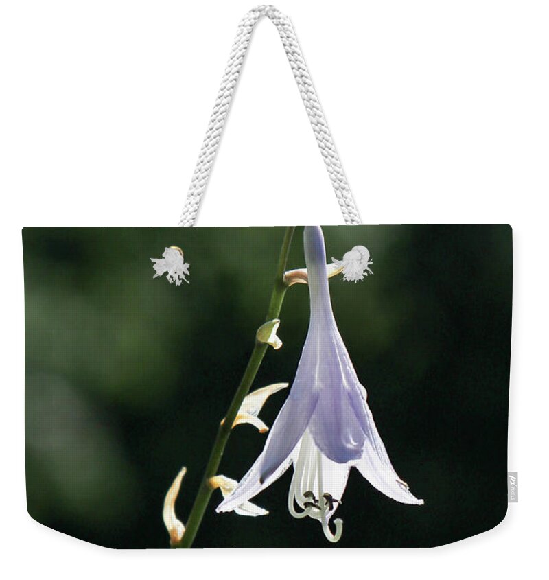 Flower Weekender Tote Bag featuring the photograph Angel's Fishing Rod by Darryl Hendricks