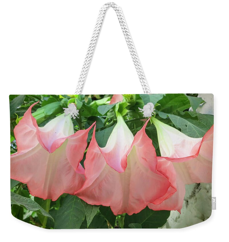 Angel's Trumpet Weekender Tote Bag featuring the photograph Angel's Trumpet by Phyllis Taylor