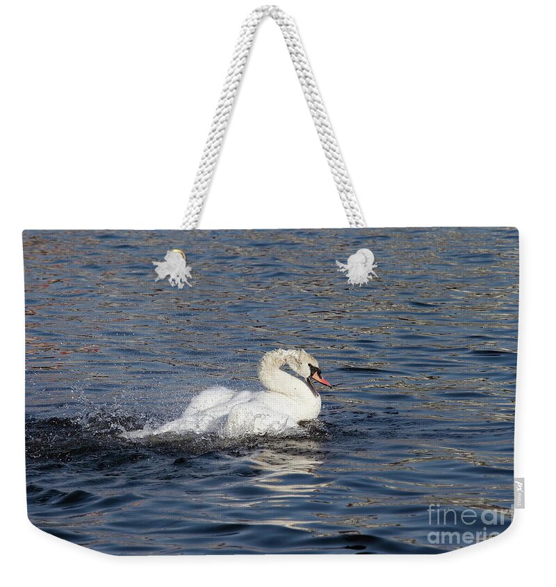 Angry Weekender Tote Bag featuring the photograph Angry swan on the water by Michal Boubin