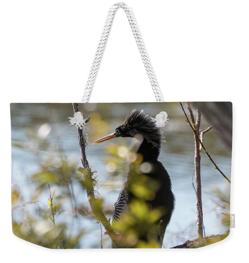 Anhinga Weekender Tote Bag featuring the photograph Anhinga 3 March 2018 by D K Wall