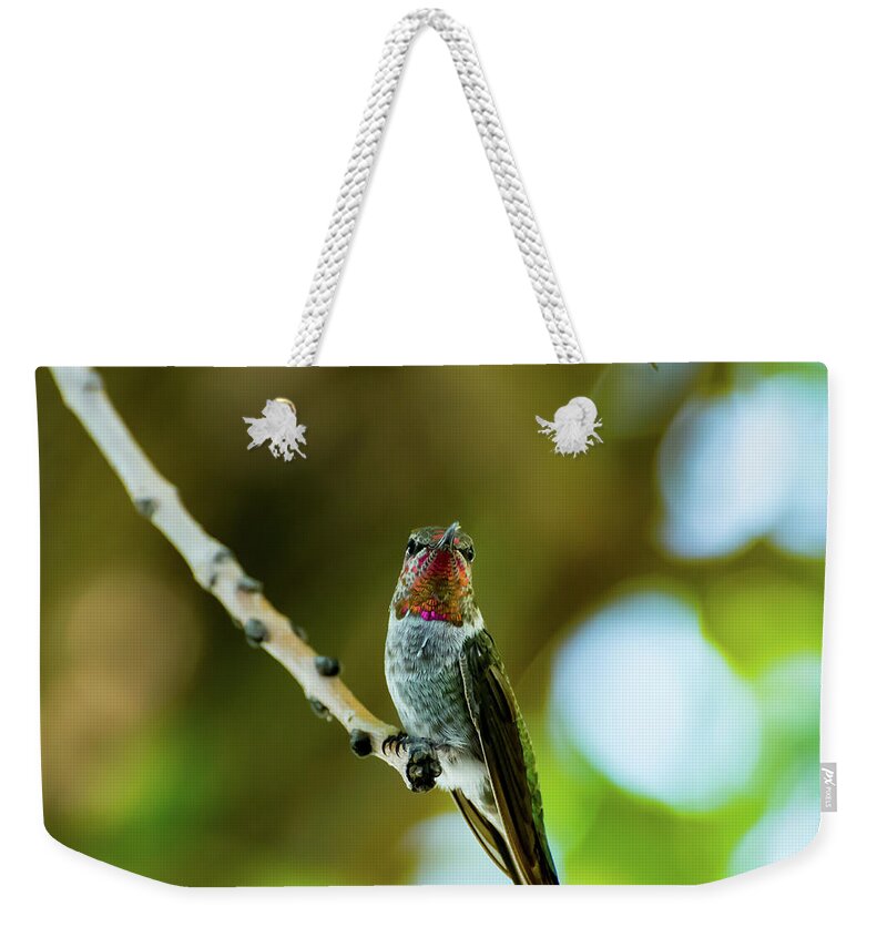 Anna's Hummingbird Weekender Tote Bag featuring the photograph Anna's Hummingbird by Douglas Killourie