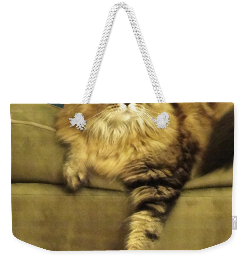 Cat Weekender Tote Bag featuring the digital art Annie by M Spadecaller