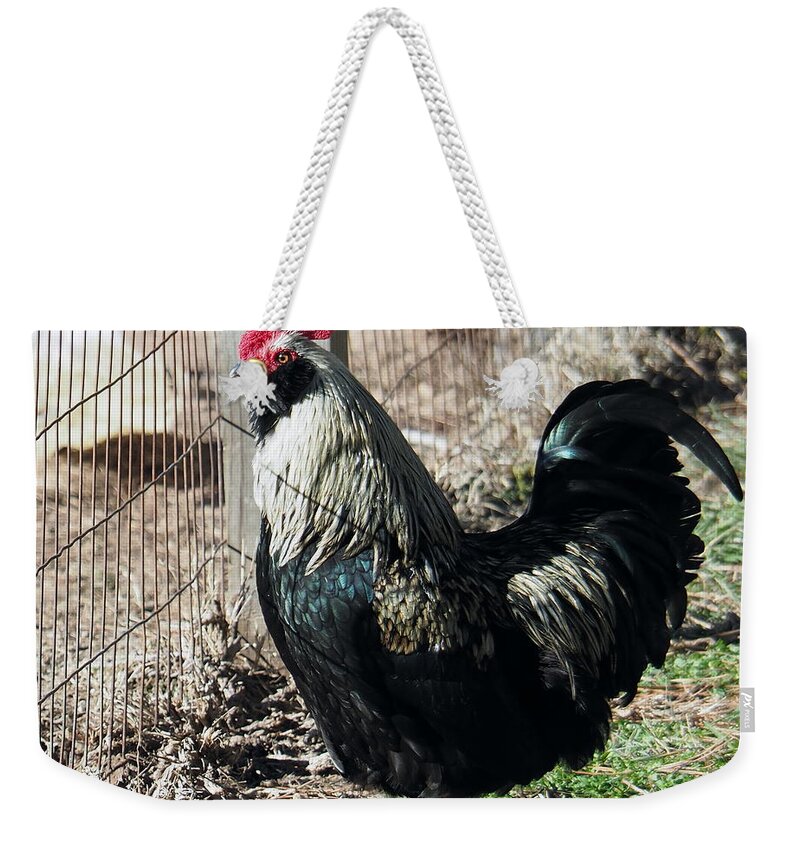 Rooster Weekender Tote Bag featuring the photograph Ann's Rooster by Jerry Connally