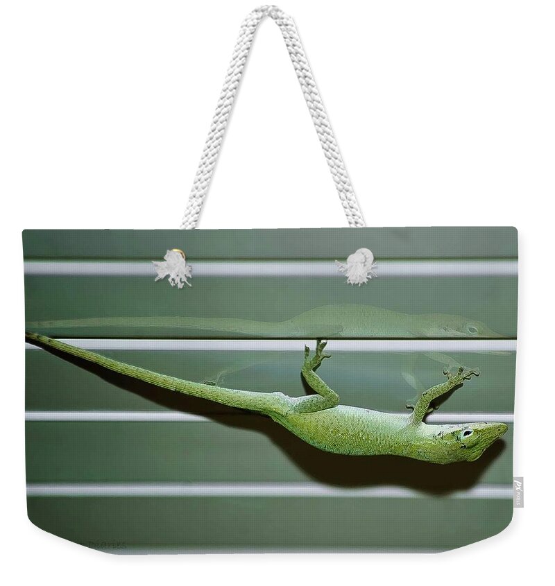 Green Anole Weekender Tote Bag featuring the photograph Anole Reflection by DigiArt Diaries by Vicky B Fuller