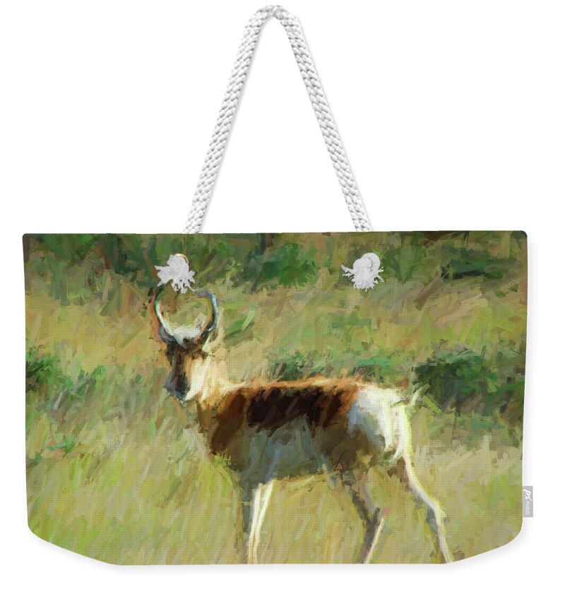 Digital Painting From A Photograph. Weekender Tote Bag featuring the digital art Antelope Alone by Cathy Anderson