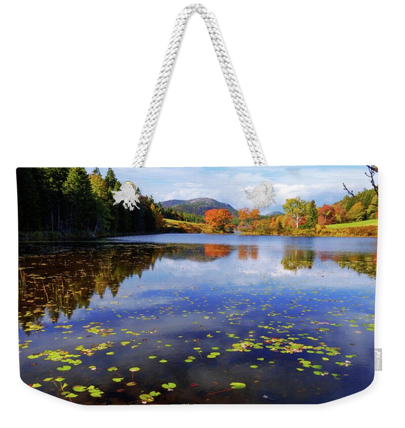 Anticipation Weekender Tote Bag featuring the photograph Anticipation by Chad Dutson