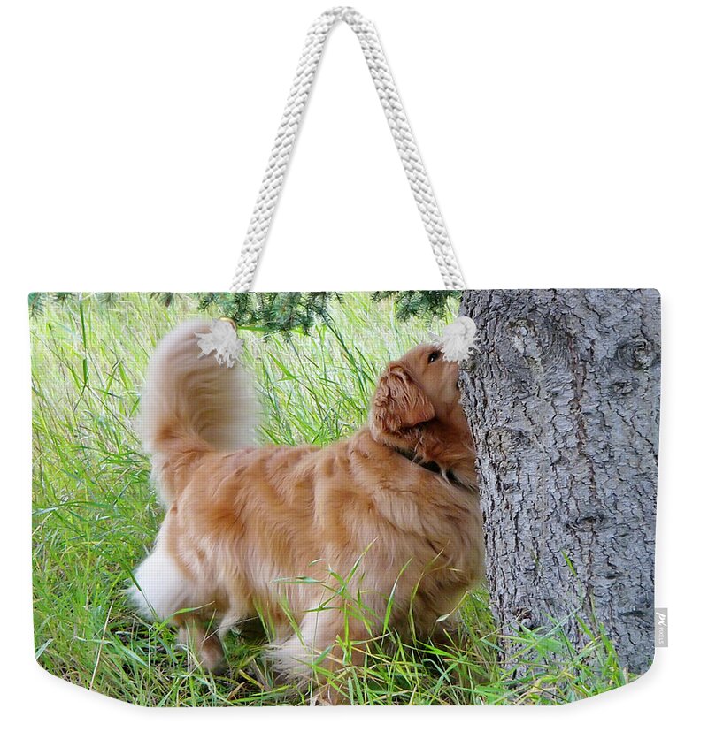 Animals Weekender Tote Bag featuring the photograph Anticipation by Rhonda McDougall