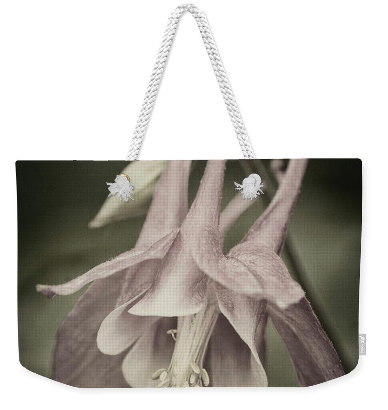 Columbine Weekender Tote Bag featuring the photograph Antique Columbine - D010096 by Daniel Dempster