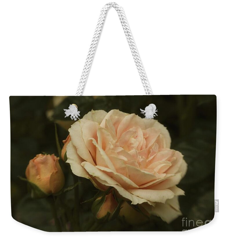 English Rose Weekender Tote Bag featuring the photograph Antique English Rose by Martyn Arnold