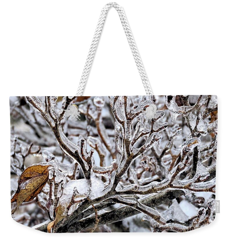 Tree Branches Weekender Tote Bag featuring the photograph Antlers of Ice by Janice Drew