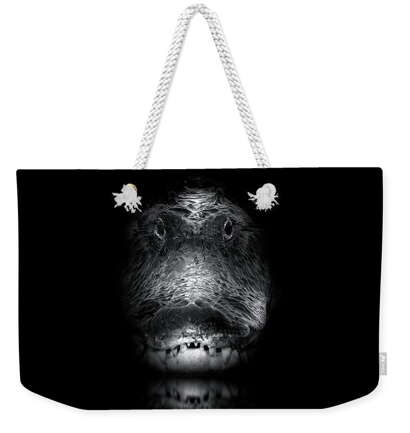 Alligator Weekender Tote Bag featuring the photograph Apex by Mark Andrew Thomas