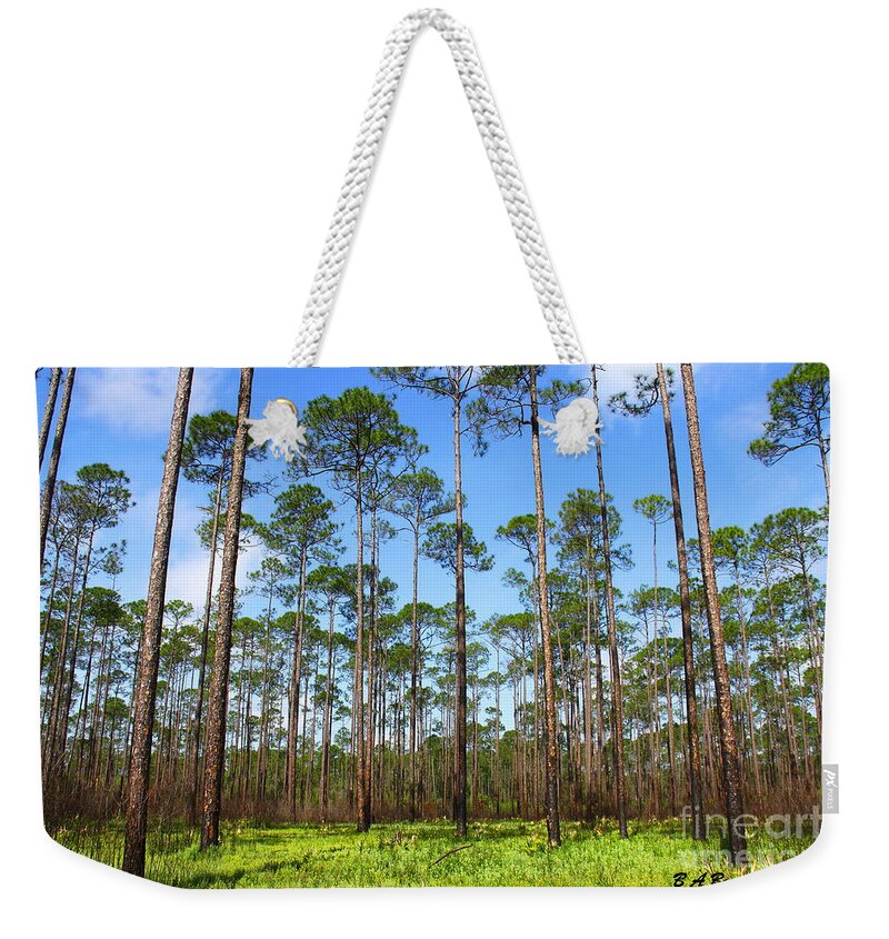 Appalachicola National Forest Weekender Tote Bag featuring the photograph Appalachicola National Forest by Barbara Bowen