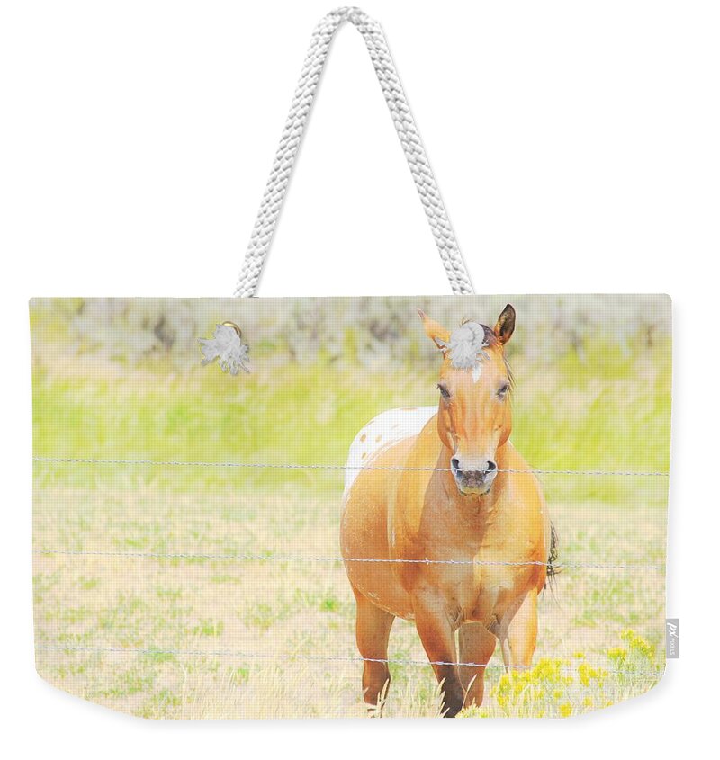 Horse Weekender Tote Bag featuring the photograph Appaloosa by Merle Grenz