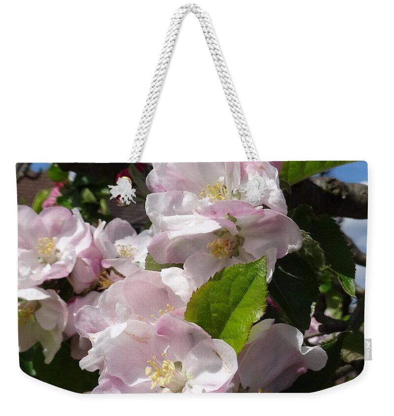Apple Blossom Weekender Tote Bag featuring the photograph Apple Blossom by Karen Jane Jones