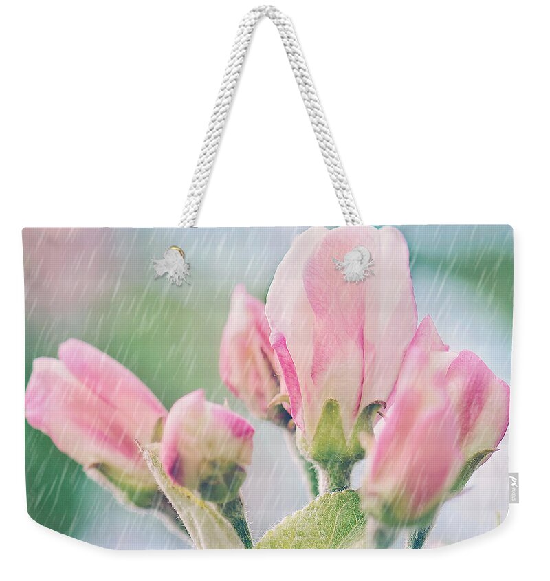 Apple Blossoms In The Rain Print Weekender Tote Bag featuring the photograph Apple Blossoms in the Rain 12x12 Crop Print by Gwen Gibson