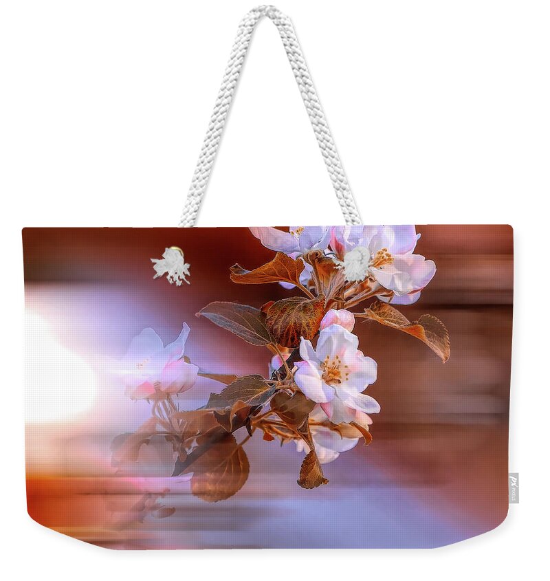  Weekender Tote Bag featuring the photograph Apple Flower on Spring Day by Aleksandrs Drozdovs