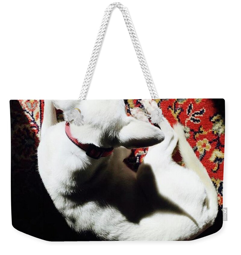 Dogearshadow Weekender Tote Bag featuring the photograph Apple, Posing Artistically. Those Ears by Ginger Oppenheimer