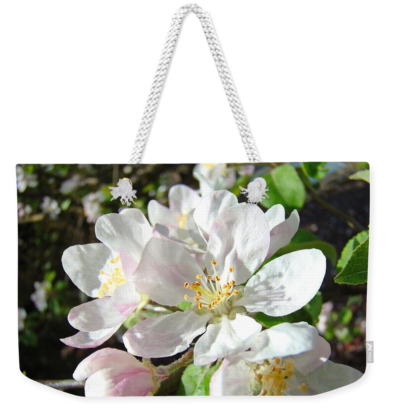 Pink Weekender Tote Bag featuring the photograph Apple Tree Blossoms White Pink Floral Baslee Troutman by Patti Baslee