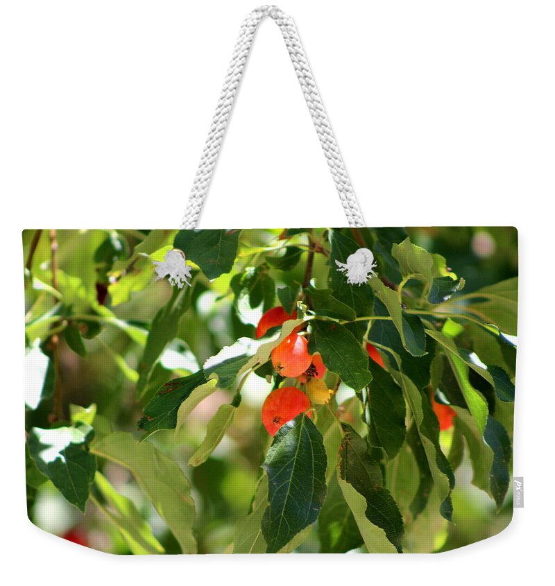 New Mexico Weekender Tote Bag featuring the photograph Apples of My Eye by Colleen Cornelius