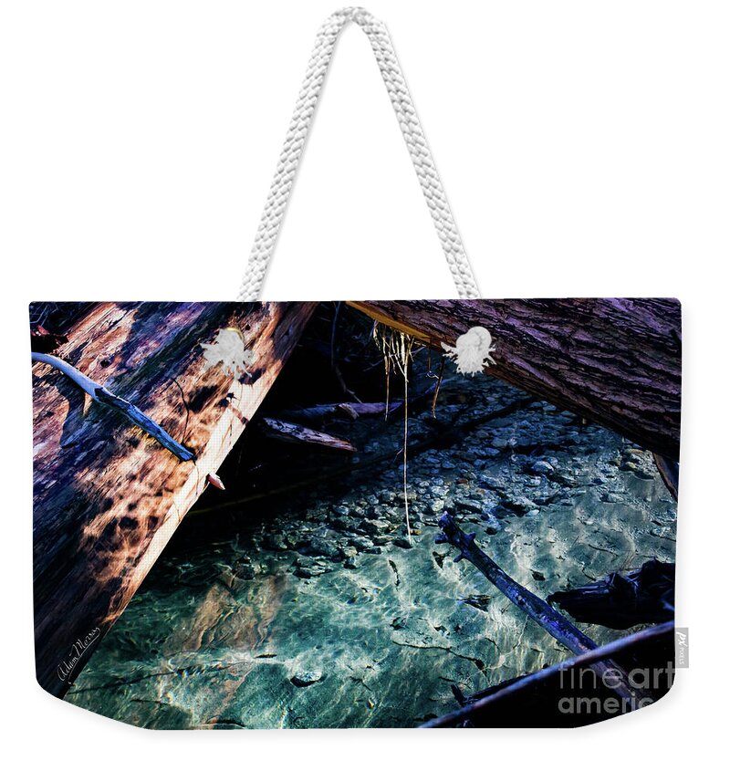 River Weekender Tote Bag featuring the photograph Aquamarine by Adam Morsa